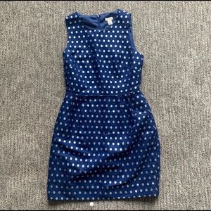 J Crew Blue Dress